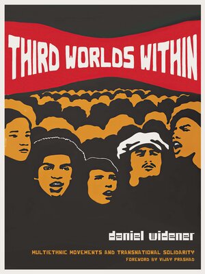 cover image of Third Worlds Within
